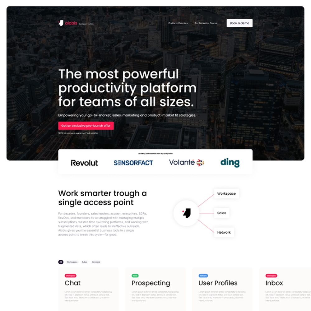 Aiobis Website